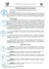 Vista preliminar de documento ORD0003-2009