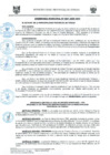 Vista preliminar de documento ORD0007-2009