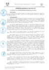 Vista preliminar de documento ORD0004-2009