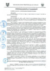 Vista preliminar de documento ORD0011-2009
