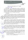 Vista preliminar de documento RGM0003-2020