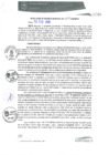 Vista preliminar de documento RGM0019-2020