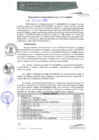Vista preliminar de documento RGM0020-2020