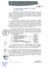 Vista preliminar de documento RGM0021-2020
