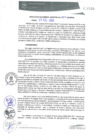 Vista preliminar de documento RGM0027-2020