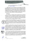 Vista preliminar de documento RGM0034-2020