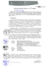 Vista preliminar de documento RGM0046-2020