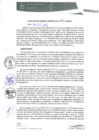 Vista preliminar de documento RGM0032-2020