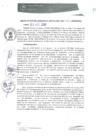 Vista preliminar de documento RGM0081-2020