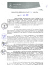 Vista preliminar de documento RGM0085-2020