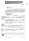 Vista preliminar de documento RGM0091-2020