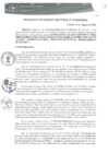Vista preliminar de documento RGM0173-2020