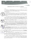 Vista preliminar de documento RGM0176-2020