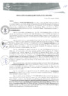 Vista preliminar de documento RGM0195-2020