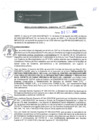 Vista preliminar de documento RGM0197-2020