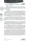 Vista preliminar de documento RGM0224-2020