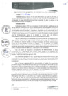 Vista preliminar de documento RGM0225-2020