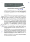 Vista preliminar de documento RGM0250-2020