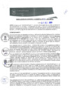 Vista preliminar de documento RGM0255-2020