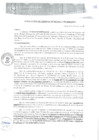 Vista preliminar de documento RGM0293-2020