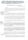 Vista preliminar de documento RGM0294-2020