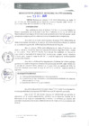 Vista preliminar de documento RGM0295-2020