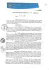 Vista preliminar de documento RGM0311-2020