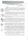 Vista preliminar de documento RGM0322-2020