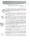 Vista preliminar de documento RGM0323-2020