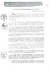 Vista preliminar de documento RGM0324-2020