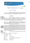 Vista preliminar de documento RGM0336-2020