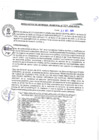 Vista preliminar de documento RGM0329-2020