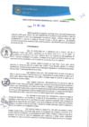 Vista preliminar de documento RGM0334-2020