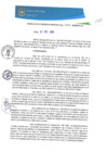 Vista preliminar de documento RGM0335-2020