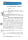 Vista preliminar de documento RGM0341-2020