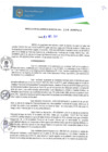 Vista preliminar de documento RGM0338-2020