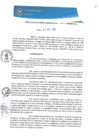 Vista preliminar de documento RGM0337-2020