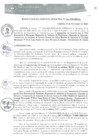 Vista preliminar de documento RGM0345-2020