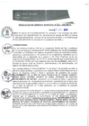 Vista preliminar de documento RGM0382-2020