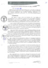 Vista preliminar de documento RGM0386-2020