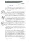 Vista preliminar de documento RGM0389-2020