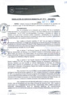Vista preliminar de documento RGM0393-2020