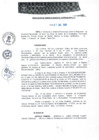 Vista preliminar de documento RGM0391-2020