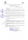 Vista preliminar de documento DEA0010-2010