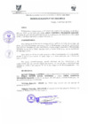 Vista preliminar de documento DEA0017-2010