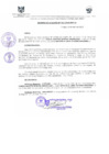 Vista preliminar de documento DEA0012-2010
