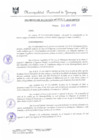 Vista preliminar de documento DEA0013-2010