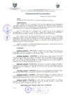 Vista preliminar de documento DEA0031-2010