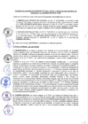 Vista preliminar de documento CONVENIO N°041-2022-CONVENIO