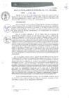 Vista preliminar de documento RGM0029-2021